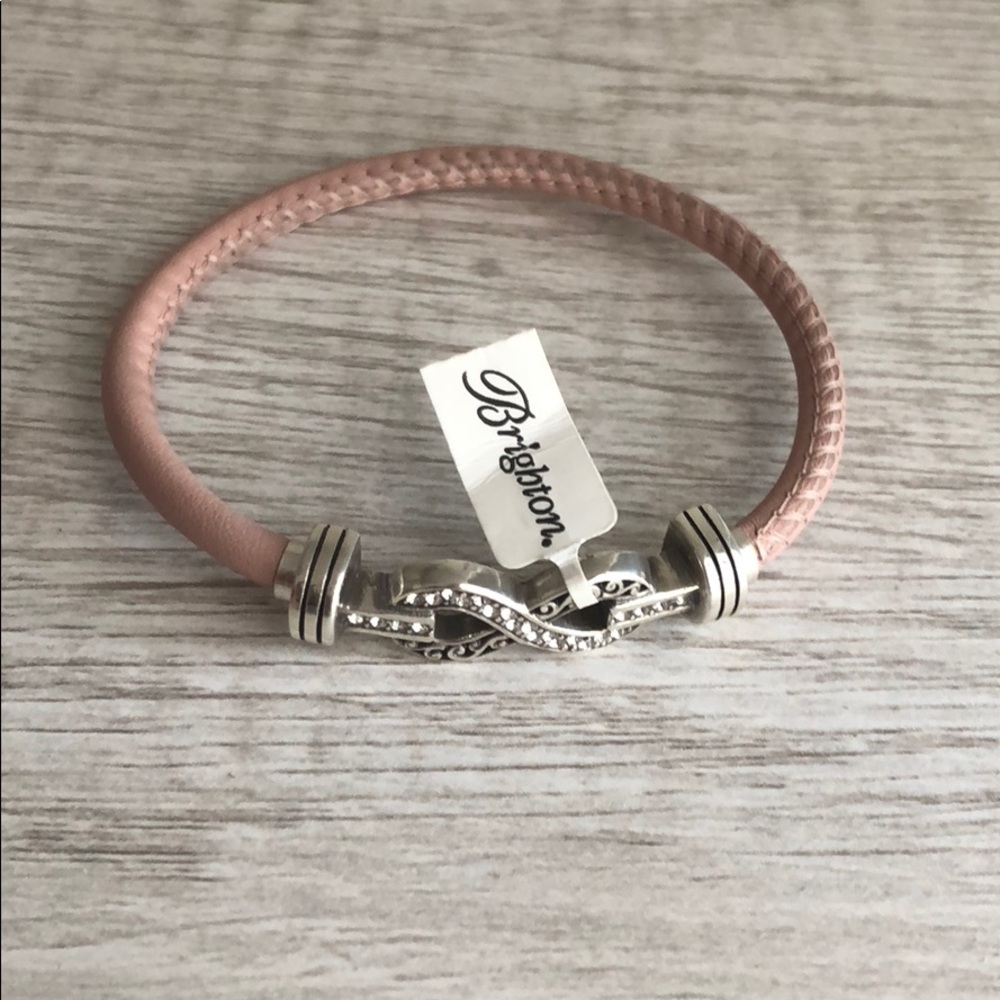 Color clique band PINK & Silver infinity ornament